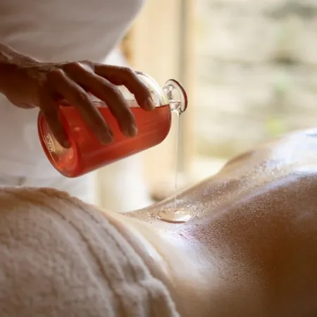 ホテル ベルガストホフ ヘーヒステン 3*