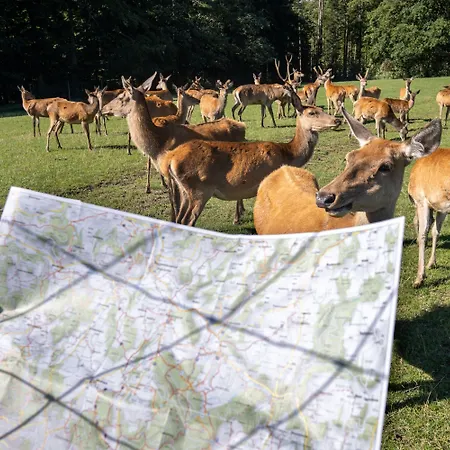 ホテル ベルガストホフ ヘーヒステン 3*